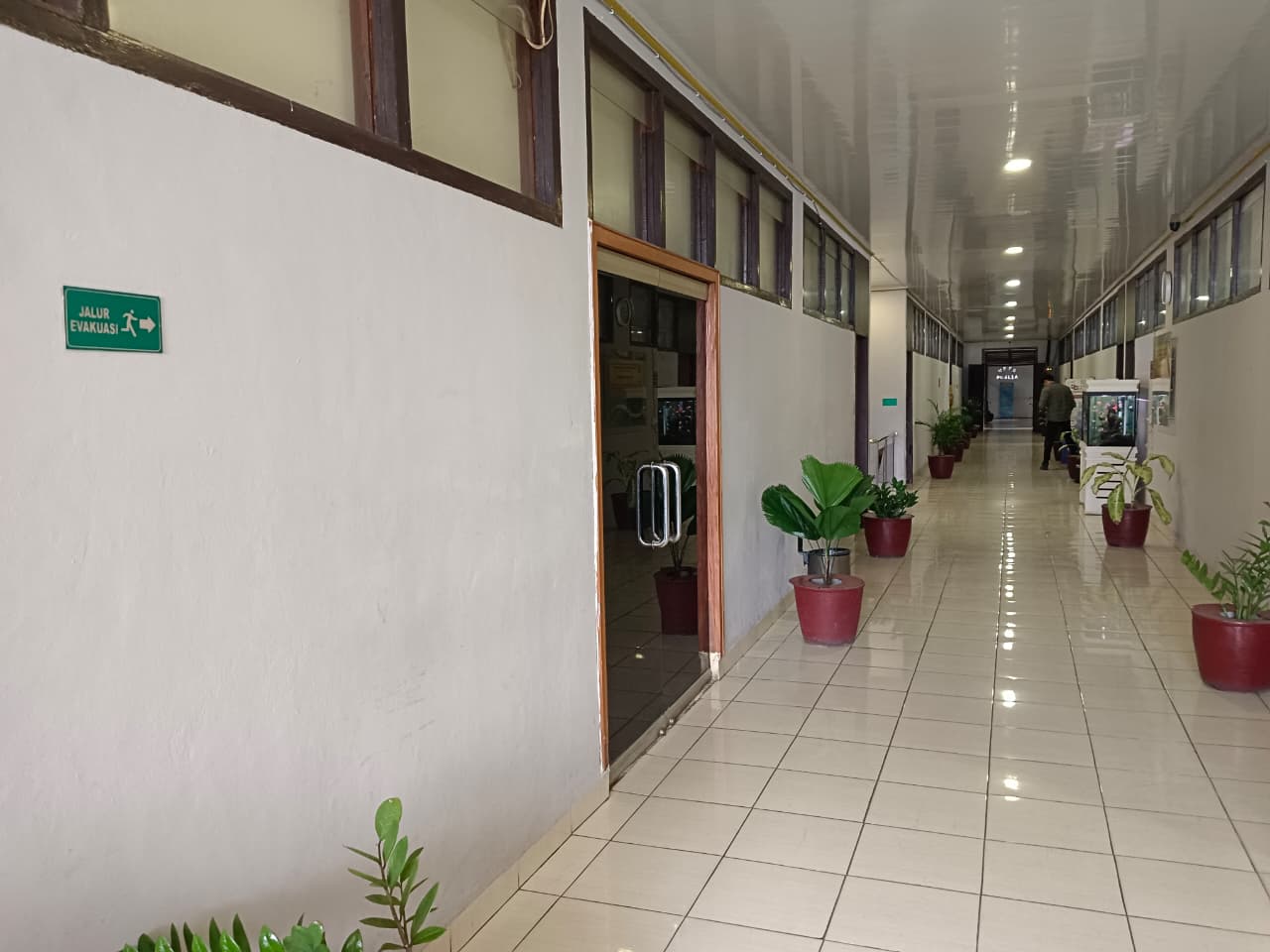 Prosedur Peringatan Dini 4